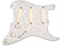 EMG DG20 Kit Pickguard EMG DG20 Kit Pickguard